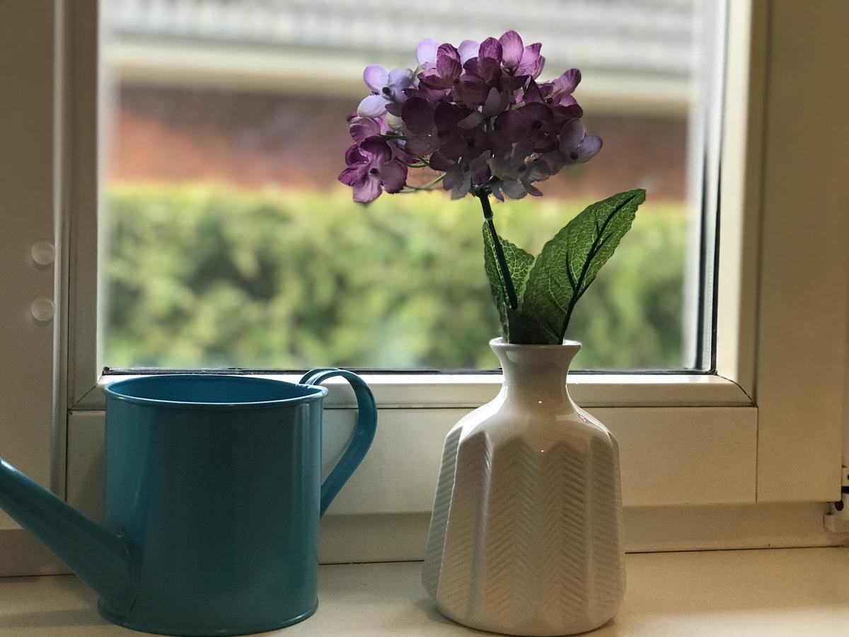 Ferienwohnung Tiffany Преров Екстериор снимка